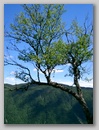 cimg0182.jpg