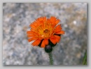 cimg0189.jpg
