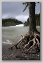 bow_river_falls.jpg