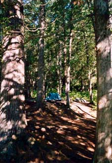 Our first night with the canoe we camped at Brigham lake on a river. In the morning we start portaging.
