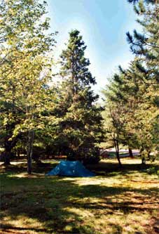 There's the tent. All the pegs still seem to be there.