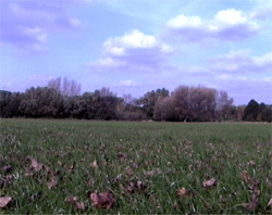 Recreation ground